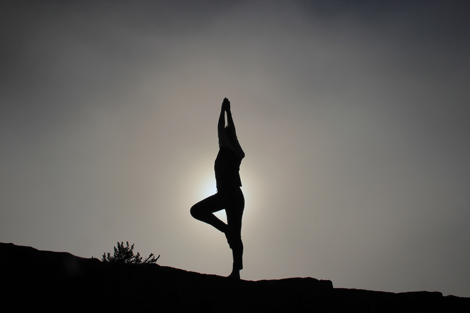 4 loại hình Yoga truyền thống phổ biến nhất hiện nay • purna