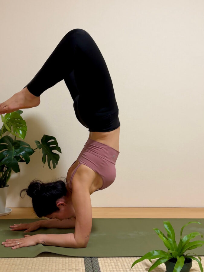 74ECA67E AC0B 4800 8A29 55633B7438BC