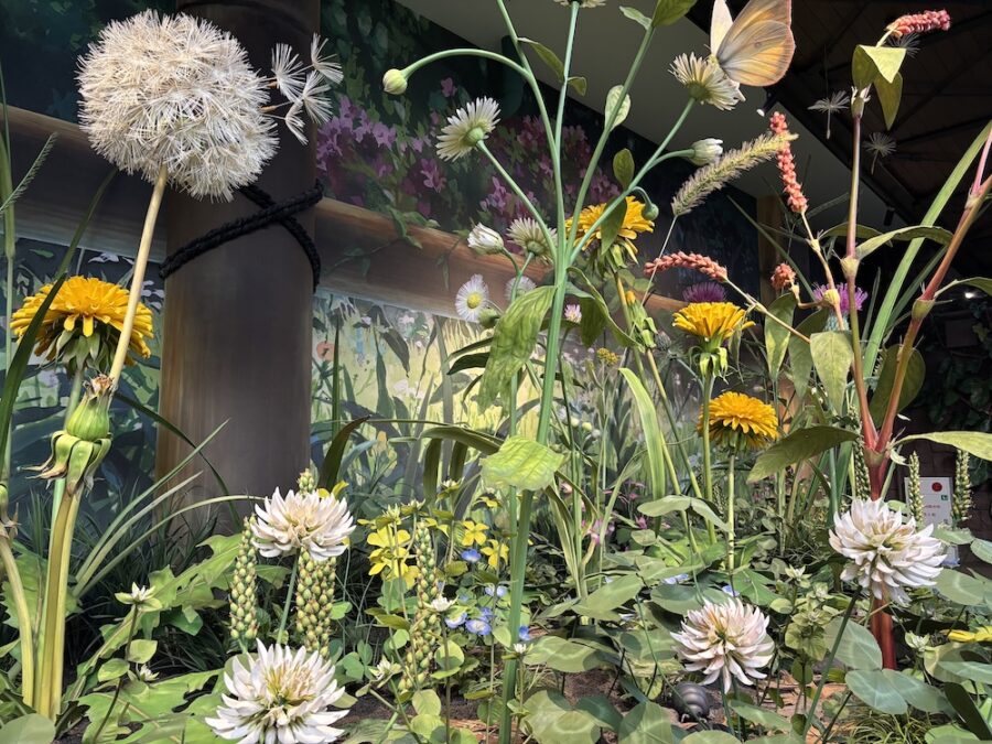 Khám phá cuối tuần ở Nagoya – Lạc vào thế giới Ghibli 20 IMG 6173