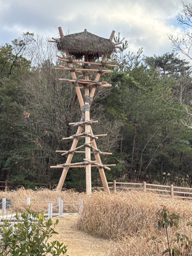 Khám phá cuối tuần ở Nagoya – Lạc vào thế giới Ghibli 12 IMG 6208