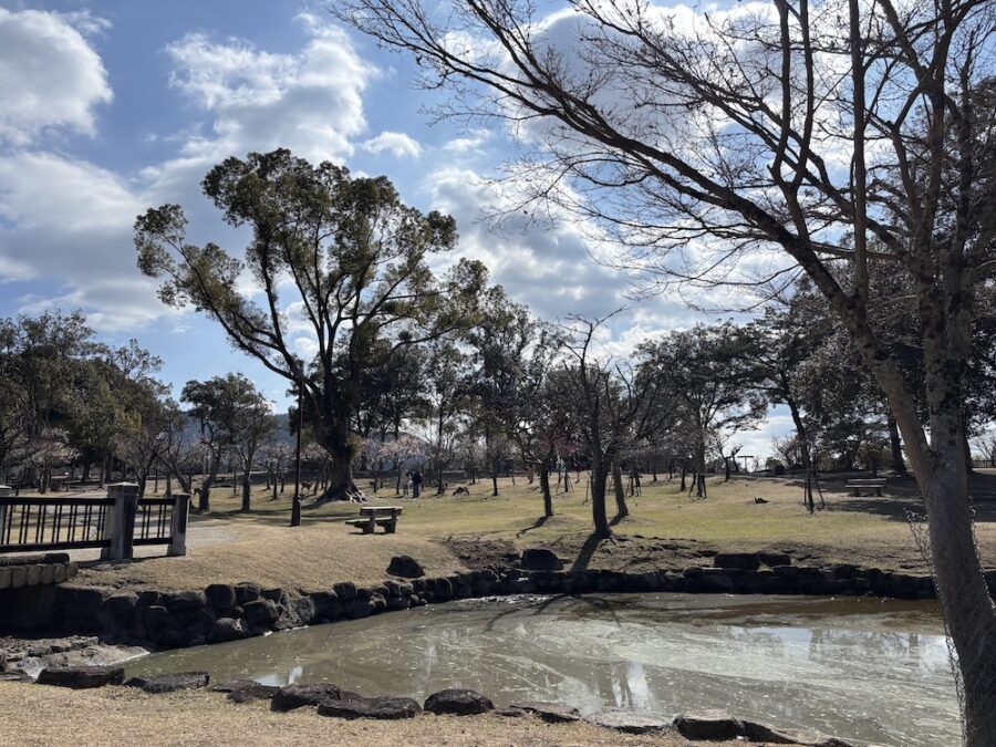 Du lịch một mình – khoảng lặng dành cho bản thân 2 IMG 7029