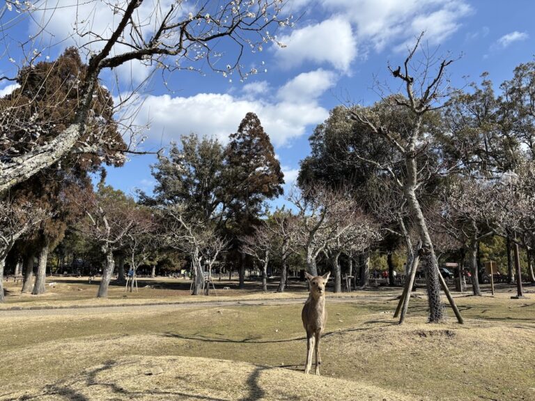 Du lịch một mình – khoảng lặng dành cho bản thân