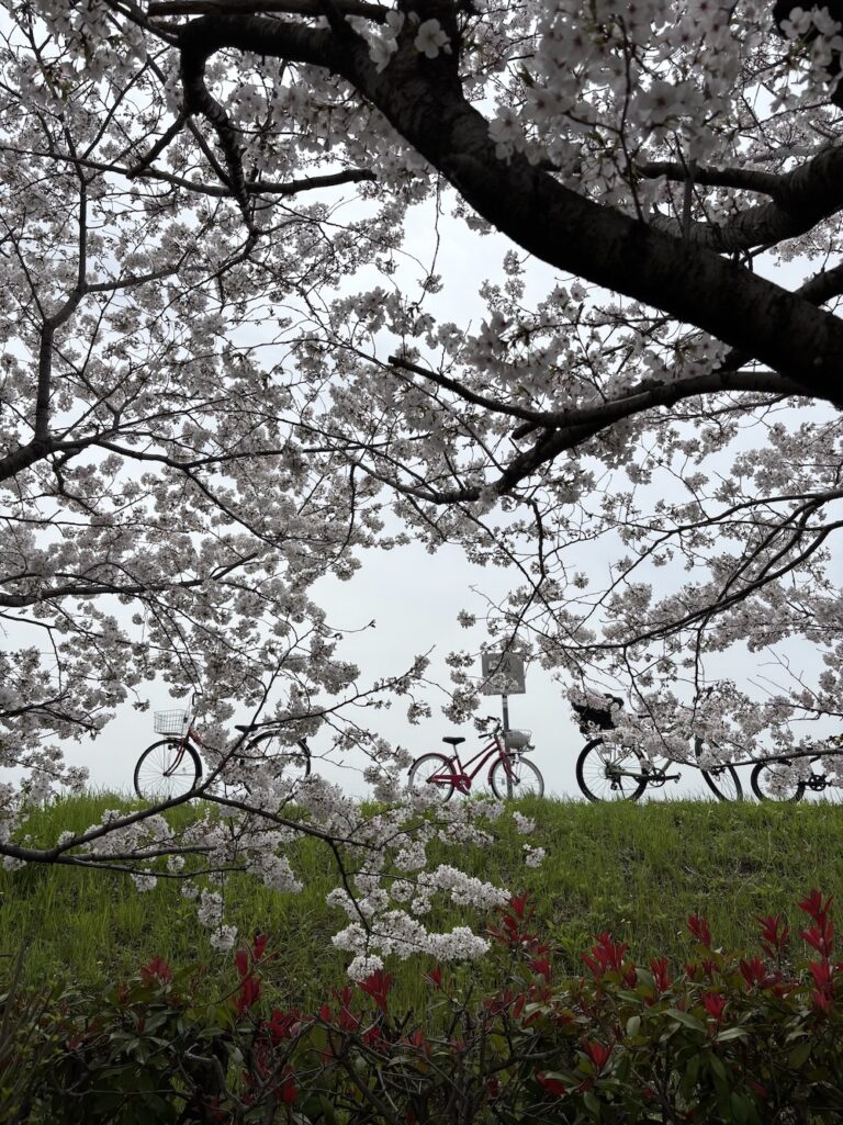 Nhật ký cuộc sống thôn quê mùa xuân tại Nhật