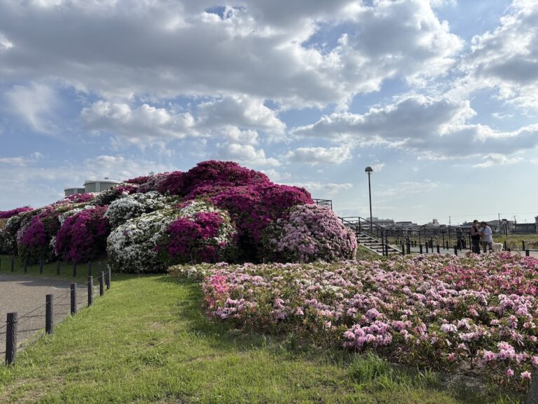 Tình người dễ thương của người dân Osaka